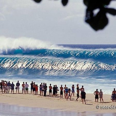 卡胡库Pristine Location In Turtle Bay Near Beach别墅 外观 照片