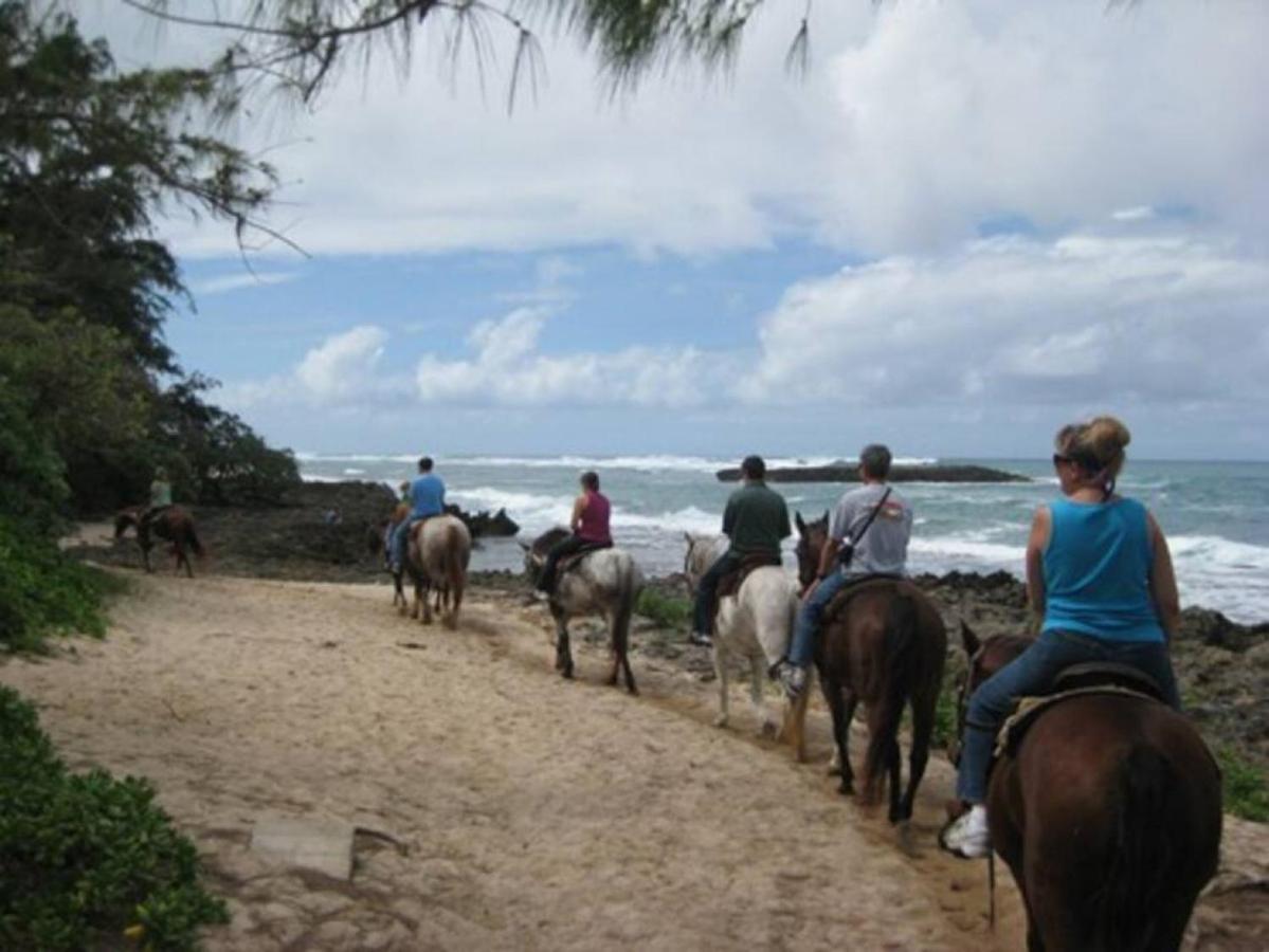 卡胡库Pristine Location In Turtle Bay Near Beach别墅 外观 照片